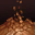 Earth Attack Weak Point Earth Attack Weak Point