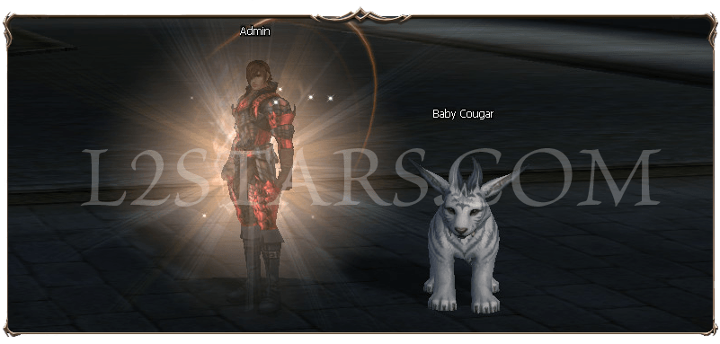 cougar