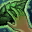 Skill11770 0.jpg