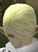 Hairstyles, Elf Male, Style A.jpg