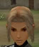 Hairstyles, Human Female Fighter, Style D.jpg