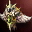 Weapon karyen i00 0.jpg