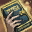 Skill11253 0.jpg