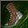 Enchant skill add dodge.png