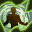 Skill19014 0.jpg