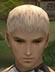 Hairstyles, Human Male Fighter, Style B.jpg