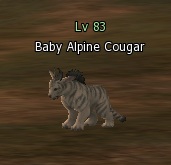 Файл:Baby Alpine cougar, Screenshot.jpg