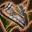 Skill0383 0.jpg