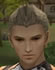 Hairstyles, Human Male Fighter, Style D.jpg