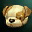 Accessory jindo cap i00 0.jpg