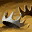 Skill0470 0.jpg