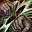 Skill1344 0.jpg