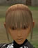 Hairstyles, Human Female Fighter, Style F.jpg