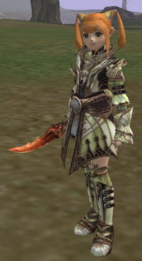 Dw f r95r.jpg