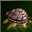 Enchant skill add slow.png