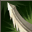 Enchant skill add critical.png