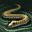 Skill11537 0.jpg